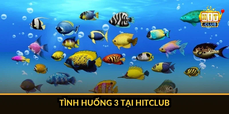 Hướng Dẫn Kỹ Thuật Bắn Băng Bi Sát Tường Trong Bắn Cá Hitclub Ba tình huống tối ưu cho kỹ thuật băng bi Hitclub