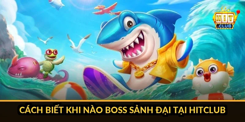 Nên Chơi Sảnh Bình Dân Hay Đại Gia Khi Bắn Cá Tại Hitclub? Sơ đồ quyết định chuyển sảnh theo trạng thái vốn Hitclub
